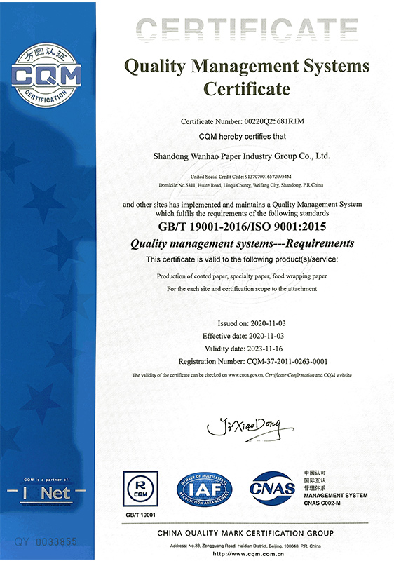 ISO 9001 认证.jpg